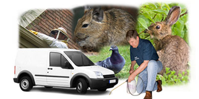 Cheadle local van